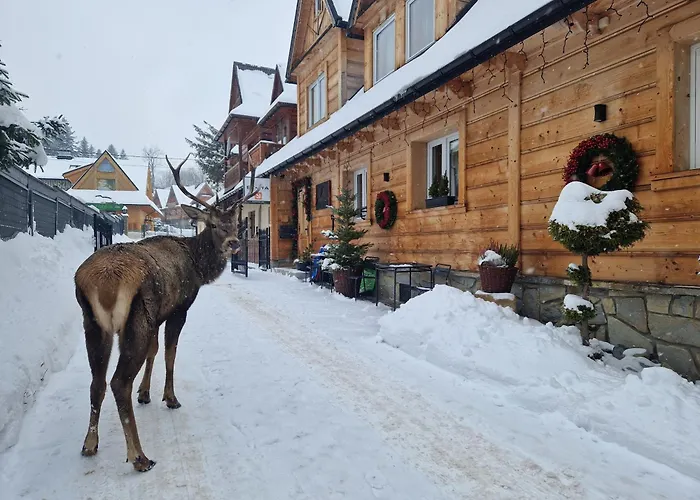 Pokoje Gościnne BENITA